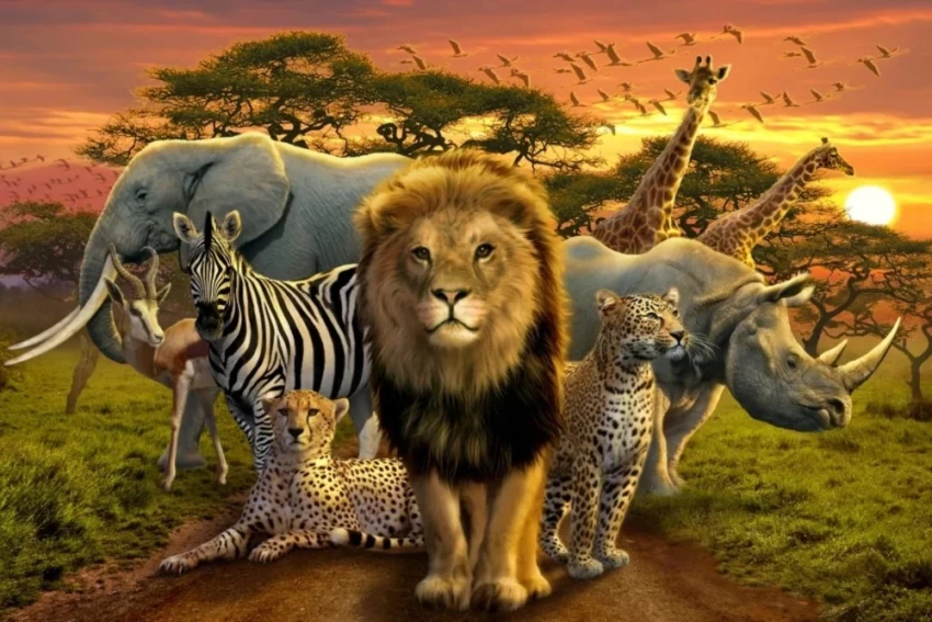 JUNGLE ANIMAL STORY FOR KIDS